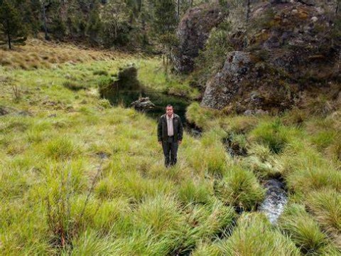 Ministerio de Medio Ambiente reitera cese definitivo de cultivo de ciclo corto en Valle Nuevo 