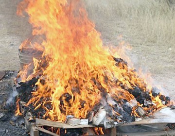 Procuradur&iacute;a incinera m&aacute;s de 250 kilogramos de drogas