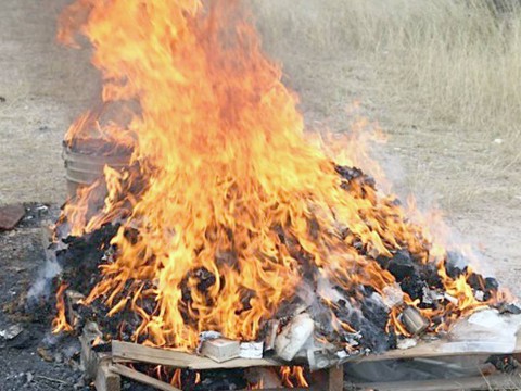 Procuradur&iacute;a incinera m&aacute;s de 250 kilogramos de drogas
