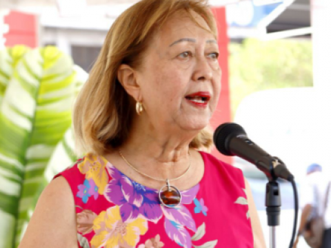 Do&ntilde;a Rosa NG defiende relaci&oacute;n con China y rechaza acusaciones de Pelegr&iacute;n Castillo: &ldquo;Es una visi&oacute;n errada y peligrosa&rdquo;
