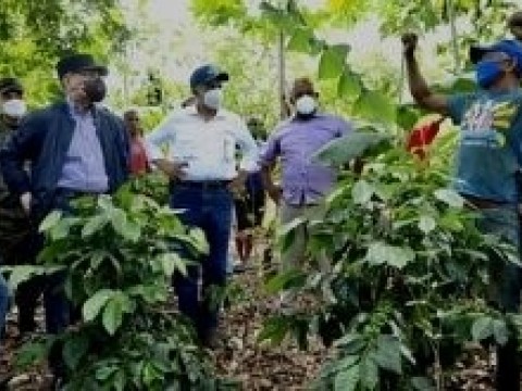 Excoordinador de visitas sorpresas dice que todas las informaciones del proyecto fueron entregadas