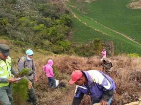 Autoridades detienen 126 personas, retienen 76 veh&iacute;culos y destruyen 60 hornos de carb&oacute;n