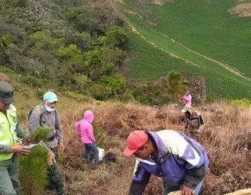 Autoridades detienen 126 personas, retienen 76 veh&iacute;culos y destruyen 60 hornos de carb&oacute;n