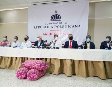 Gobierno comprar&aacute; 100 mil quintales de cebolla para estabilizar el precio del producto
