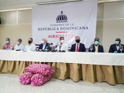 Gobierno comprar&aacute; 100 mil quintales de cebolla para estabilizar el precio del producto