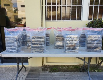 DNCD decomisa 60 paquetes de Coca&iacute;na en SPM