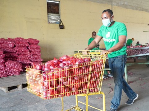 &nbsp;Inespre vende m&aacute;s de 6 mil quintales de cebolla a 10 pesos la libra&nbsp;