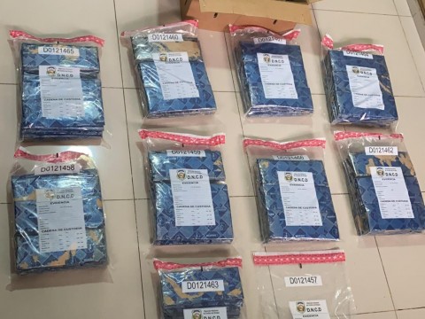 DNCD decomisa 65 kilos de Coca&iacute;na en canasto de vegetales que serian exportados a Canad&aacute;