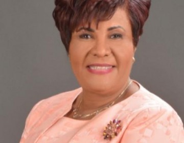Josefa Castillo: Gobierno de Luis  Abinader rescat&oacute;  Sector  Asegurador con cifras de crecimiento r&eacute;cord 