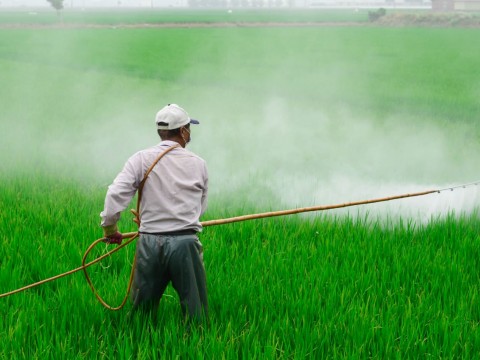 M&aacute;s de 450 productores agropecuarios son beneficiados por el&nbsp;Inespre