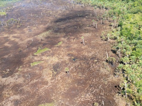Fuerza A&eacute;rea sofoca incendio registrado en las inmediaciones del Aeropuerto Internacional de Punta Cana
