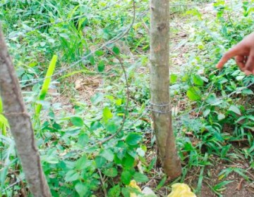 Muere ni&ntilde;a electrocutada en Esperanza