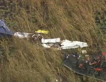 Una avioneta se estrella en los Everglades de Florida y mueren sus dos ocupantes
