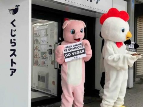 Activistas protestan contra el consumo de carne de ballena en Jap&oacute;n