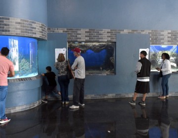 El Acuario Nacional reabre sus puertas tras un a&ntilde;o en remodelaci&oacute;n