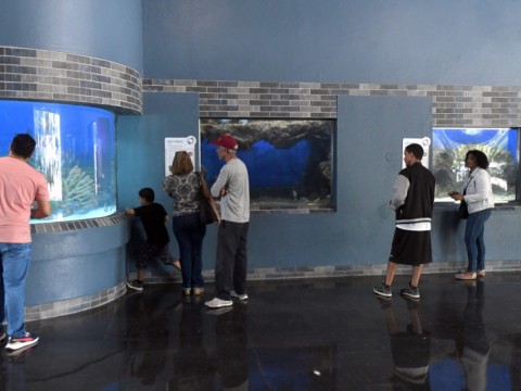El Acuario Nacional reabre sus puertas tras un a&ntilde;o en remodelaci&oacute;n