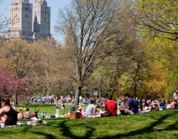 Alertan sobre ola de atracos en el Central Park de Nueva York