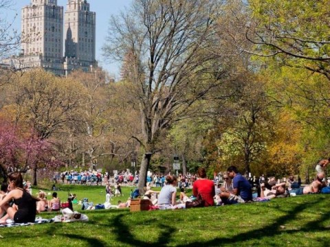Alertan sobre ola de atracos en el Central Park de Nueva York