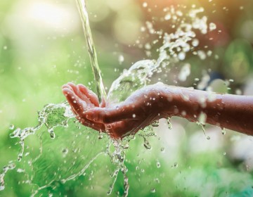 D&iacute;a Mundial del Agua