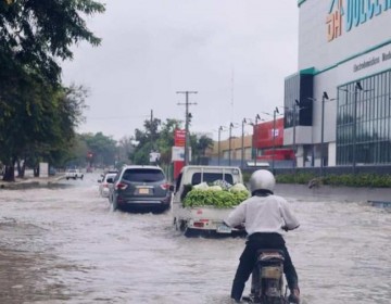 La tormenta Melissa provoc&oacute; una semana de cancelaciones y respiro del ruidoso tr&aacute;fico