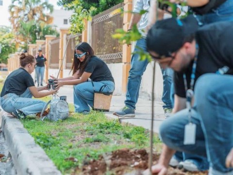 Alcald&iacute;a del Distrito Nacional desarrolla Plan de Arbolado Urbano en la Zona Universitaria