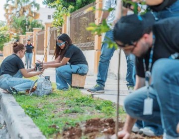 Alcald&iacute;a del Distrito Nacional desarrolla Plan de Arbolado Urbano en la Zona Universitaria
