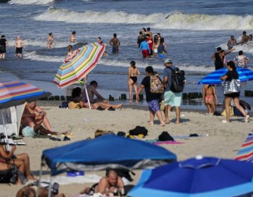 Tibur&oacute;n muerde a una mujer en una playa de Nueva York