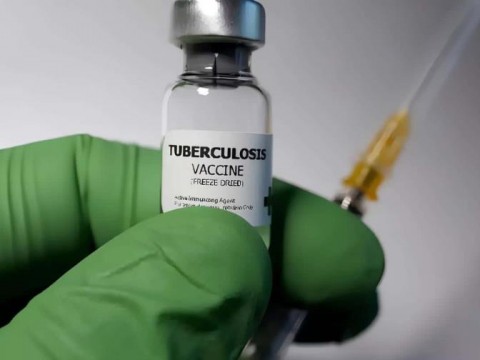 Desarrollan un mecanismo para hacer m&aacute;s eficaz la vacuna contra la tuberculosis