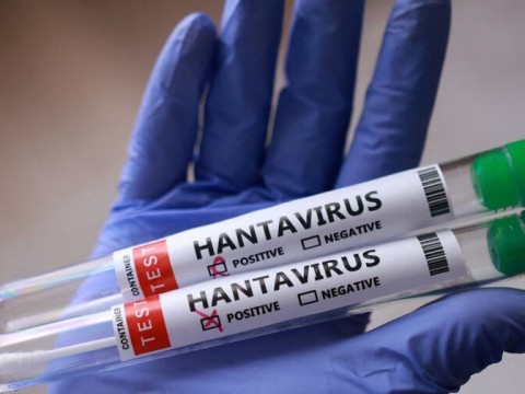  Suben a once los casos de hantavirus, pero la OMS descarta riesgo elevado
