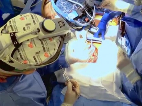 M&eacute;dicos estadounidenses implantan por primera vez un coraz&oacute;n de cerdo a un humano