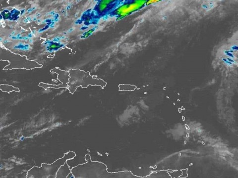 Mayormente soleado y &oacute;ptimo para la realizaci&oacute;n de actividades al aire libre