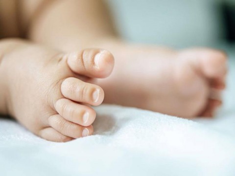 Cinco casos de malaria y 33 muertes infantiles marcan el inicio epidemiol&oacute;gico de 2026