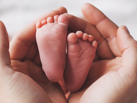 Alemania autoriza el primer buz&oacute;n para abandonar beb&eacute;s 