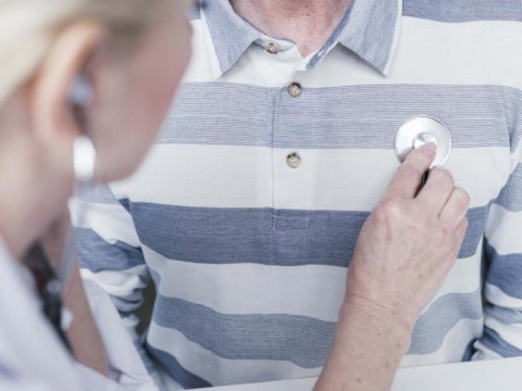 Desarrollan una inmunoterapia para revertir el da&ntilde;o card&iacute;aco debido al colesterol