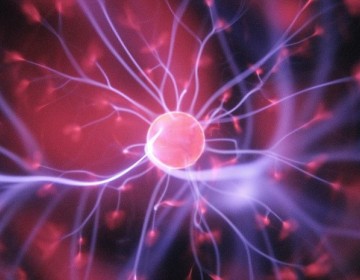 Crean un &laquo;caballo de Troya&raquo; contra el c&aacute;ncer que se disfraza de grasa para penetrar en el tumor