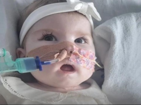 El Papa reza por Indi Gregory beb&eacute; con enfermedad incurable y en medio de una lucha judicial