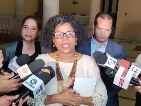 Directora de ONE informa ya no habr&aacute; m&aacute;s extensi&oacute;n del censo