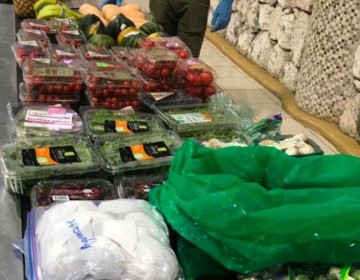 Decomisan kilos de frutas y vegetales al artista Julio Iglesias en aeropuerto de Punta Cana