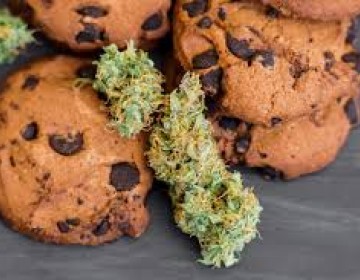 Ecuador comienza a producir comida a base de Canabis