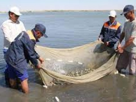 Pescadores valoran medidas para protecci&oacute;n del pez Loro y de trabajadores del mar