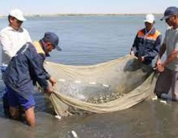 Pescadores valoran medidas para protecci&oacute;n del pez Loro y de trabajadores del mar