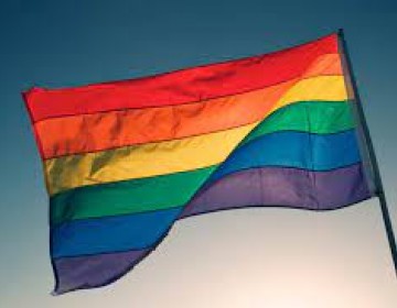 Grupos LGBTI dispuestos a ir al Tribunal Constitucional y demandar al pa&iacute;s por exclusi&oacute;n en C&oacute;digo Penal