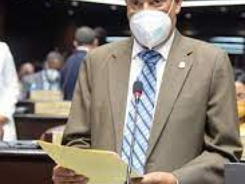 Diputado sugiere erradicar todos los cerdos del pa&iacute;s por casos de fiebre porcina