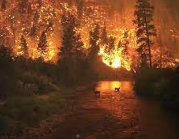 Ciencia admite ya efectos irreversibles del cambio clim&aacute;tico en el planeta