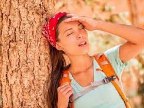 Ola de calor: Recomendaciones para enfertarla, seg&uacute;n la OMS
