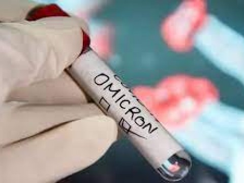 OMS ve improbable que variante &oacute;micron sea la &uacute;ltima preocupante en la COVID