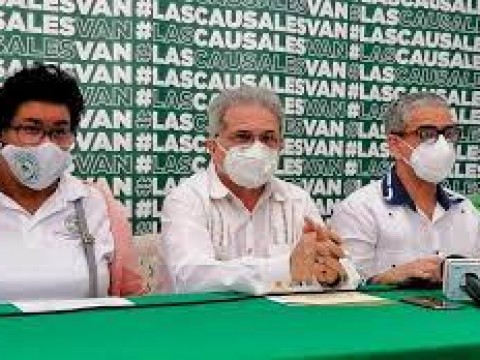 "No apoyamos el aborto criminal, estamos solo a favor de las tres causales"