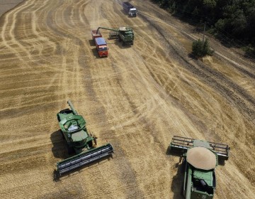 OCDE advierte interferencias en el comercio que dejar&aacute; la guerra en Ucrania