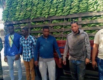 Detienen a dos dominicanos que ocultaban indocumentados en un cami&oacute;n cargado de guineos verdes