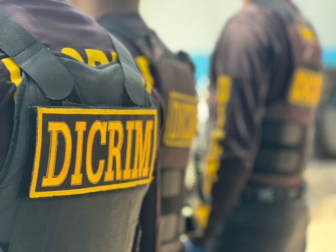 Dicrim detiene a ocho personas por distintos delitos 
